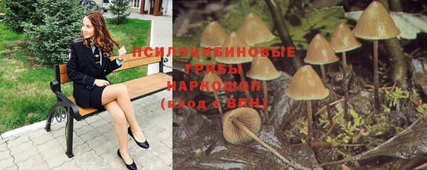 молекула духа Алзамай
