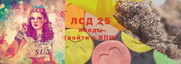 кокс Алексин