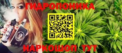 spice Мариинск
