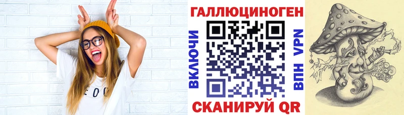 kraken рабочий сайт  Елизово  Псилоцибиновые грибы GOLDEN TEACHER 