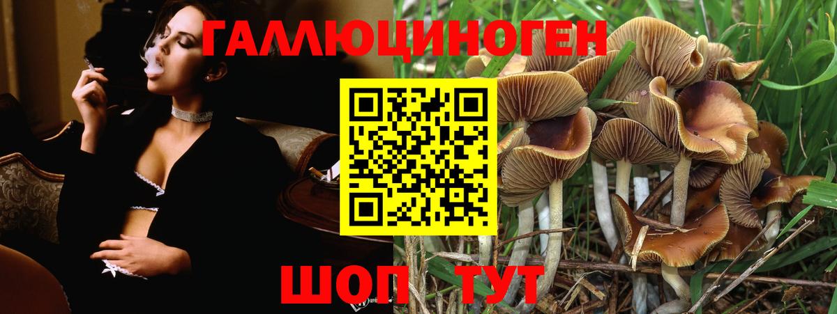 Псилоцибиновые грибы Magic Shrooms  Вход с VPN  Елизово 